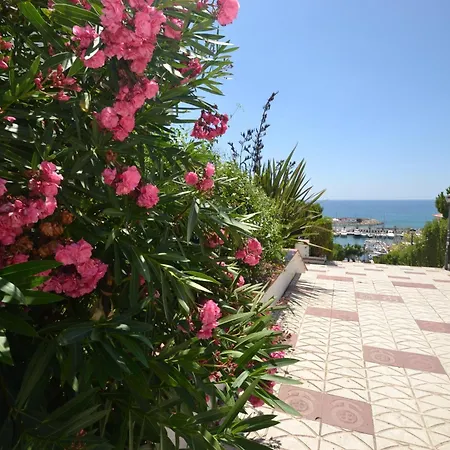 Viva - View דירה *
